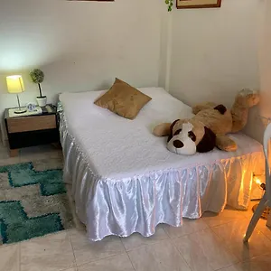 Y Estudios Manga Real Apart Otel